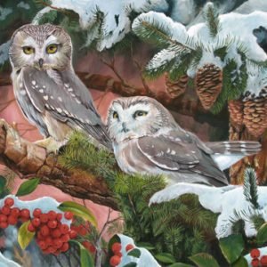 Saw Whet Owls - Original Available